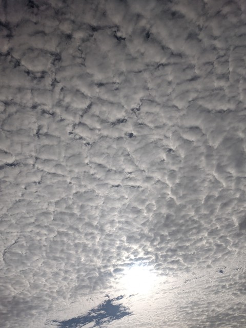 Snowy Sky