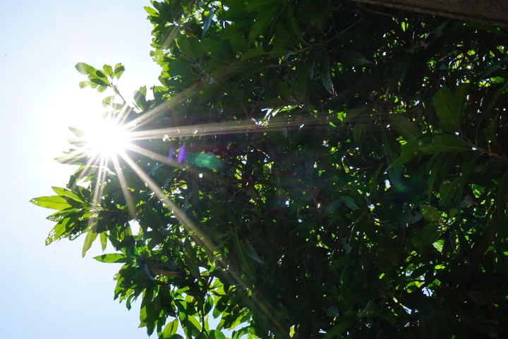 light