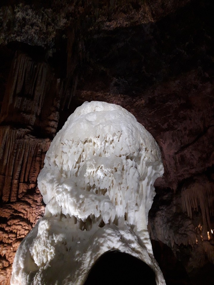 in Postojna cave