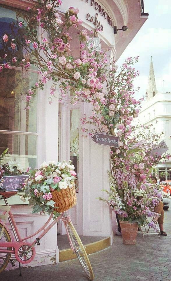 rosa