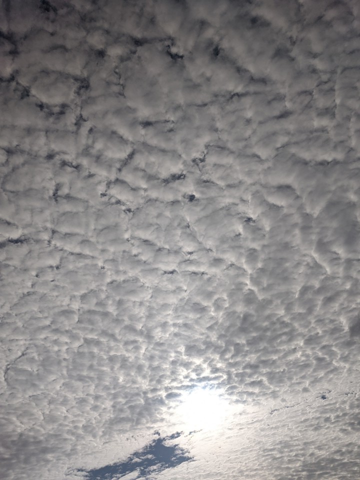 Snowy Sky