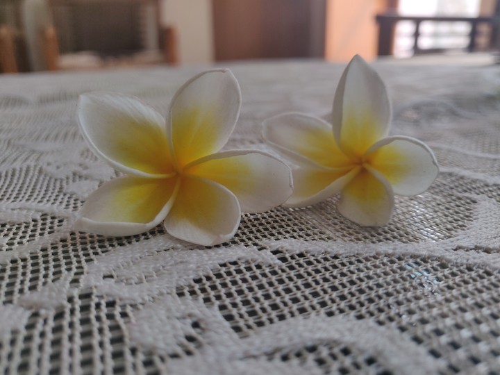 michelia