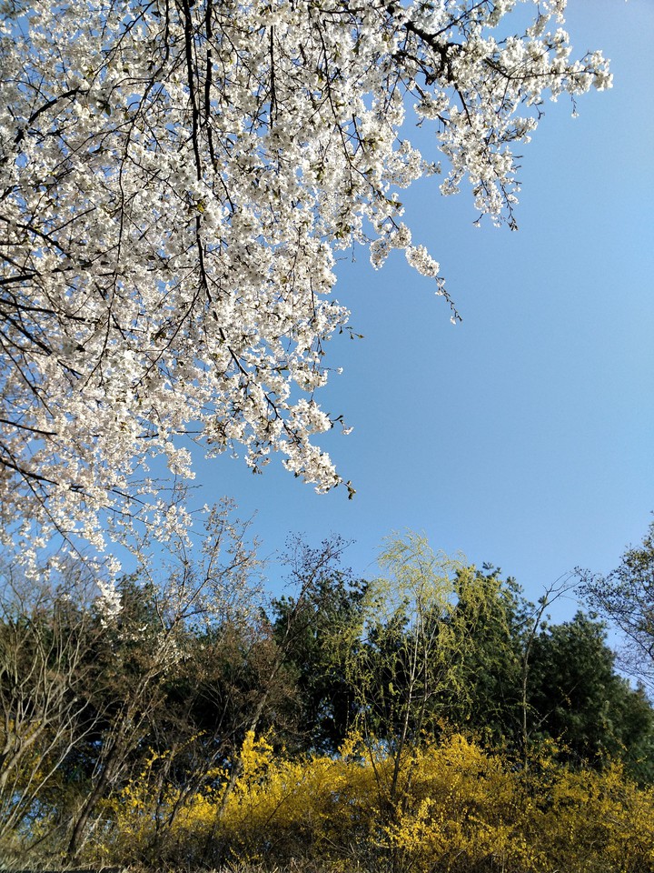 봄