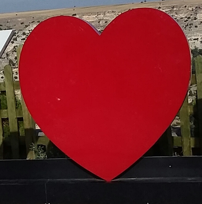 Heart