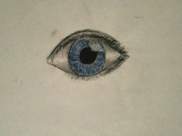 Eye