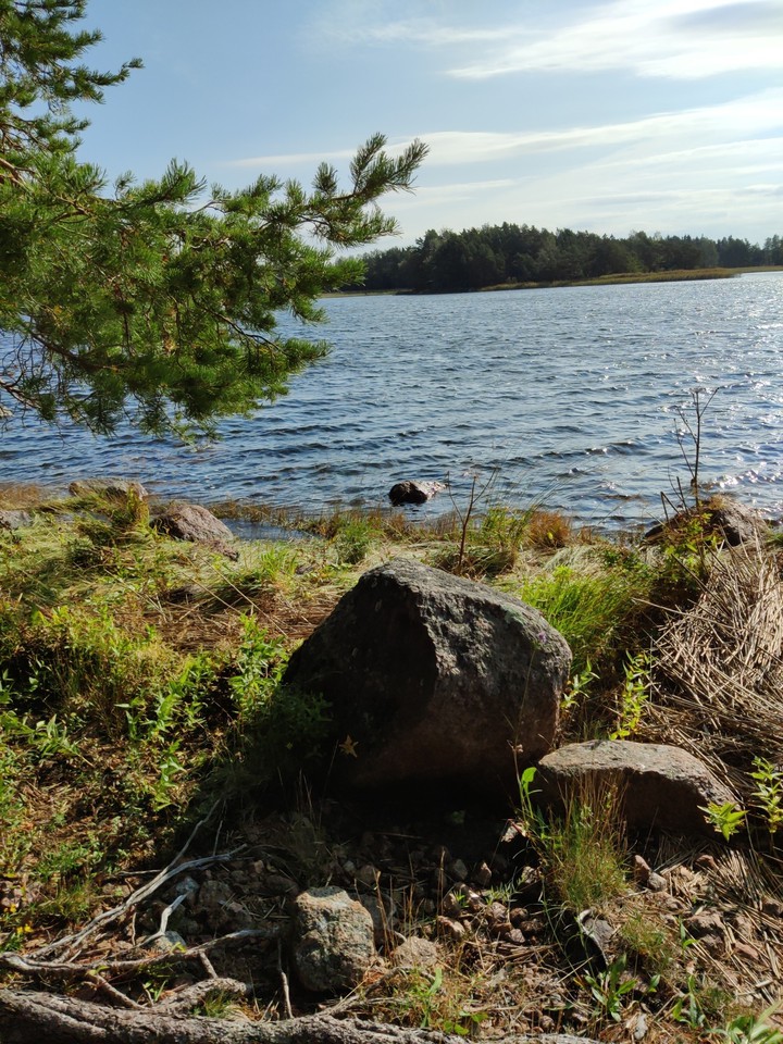Seashore.