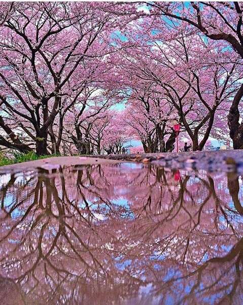 Refraction