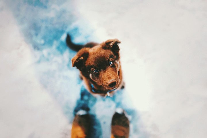 aawww