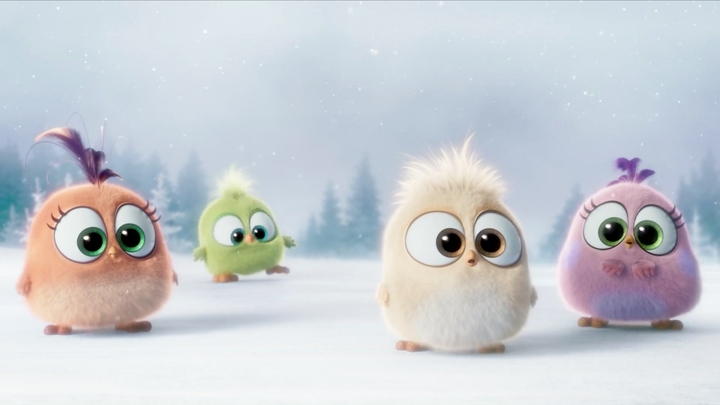 cute_birds