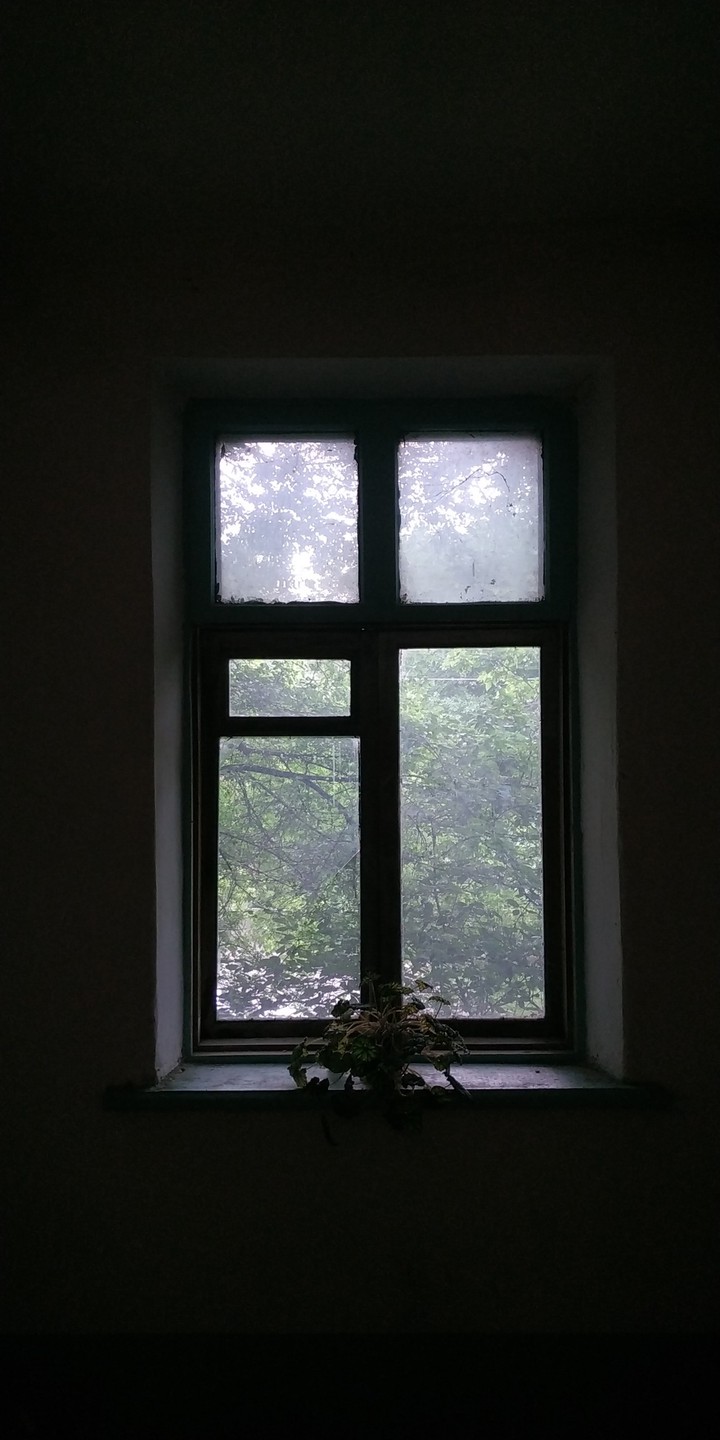 окно