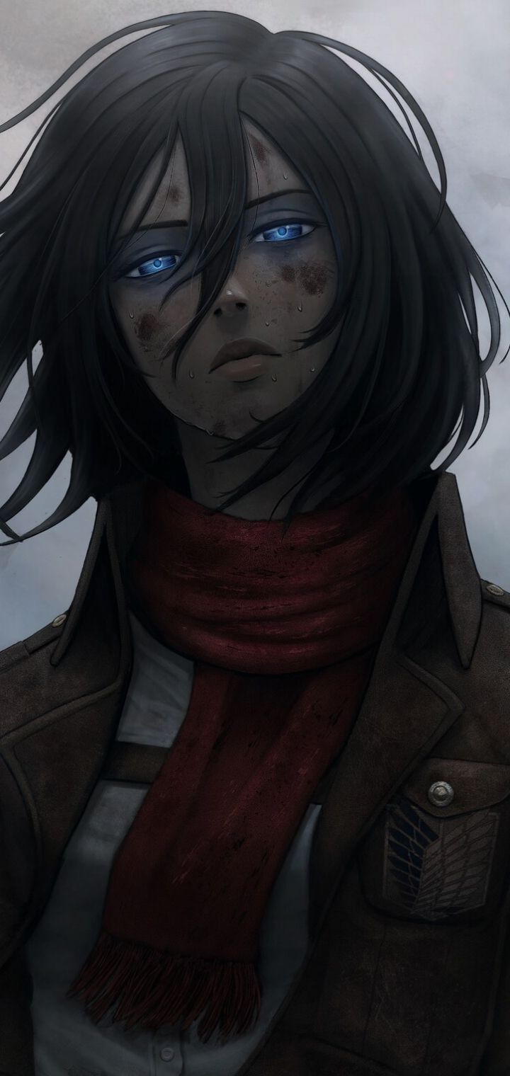 Mikasa