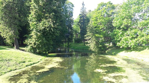 Beautiful nature