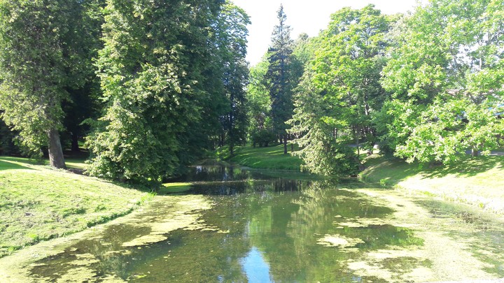 Beautiful nature