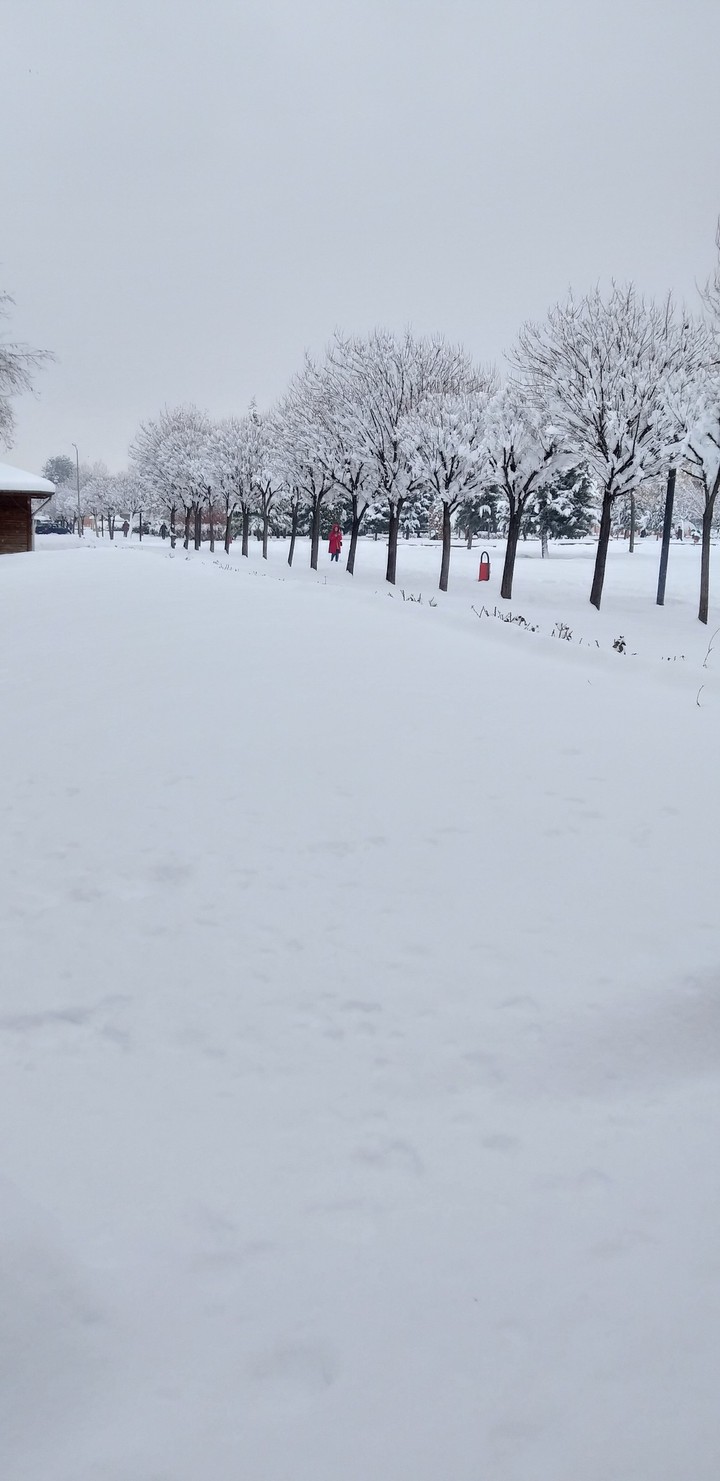snow