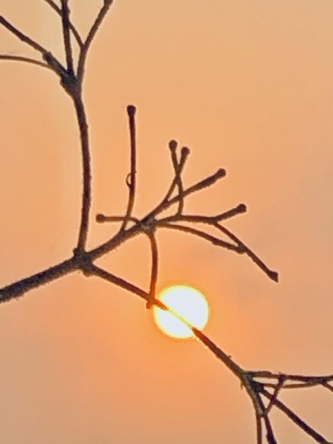 sun