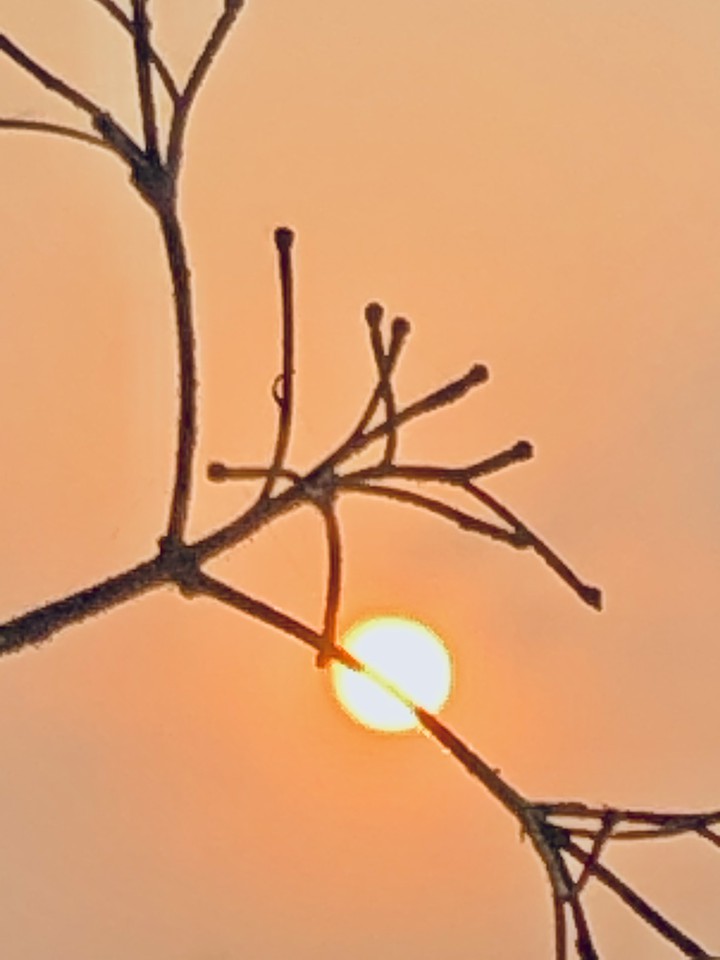 sun