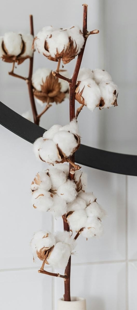 twig, cotton 배경화면