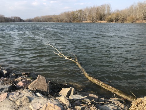River Danube