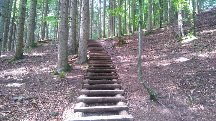 Mountain trails