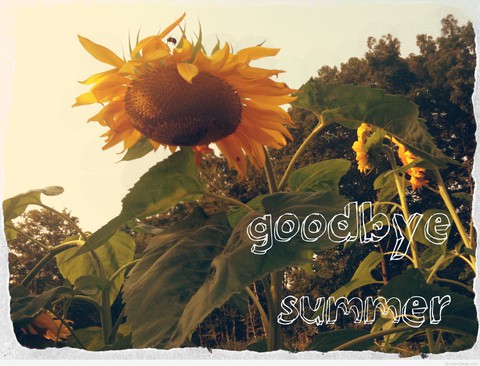 Goodbye
