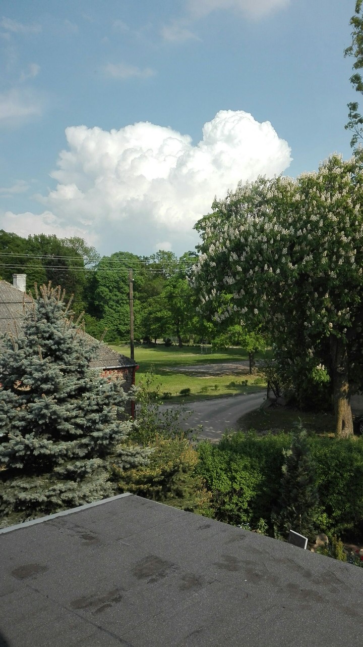 green view