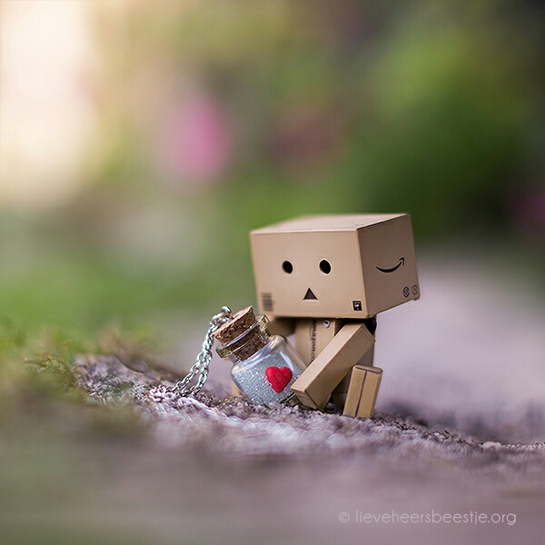 love