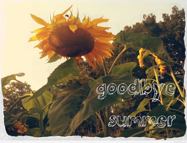 Goodbye