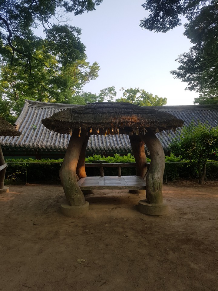 쉄터