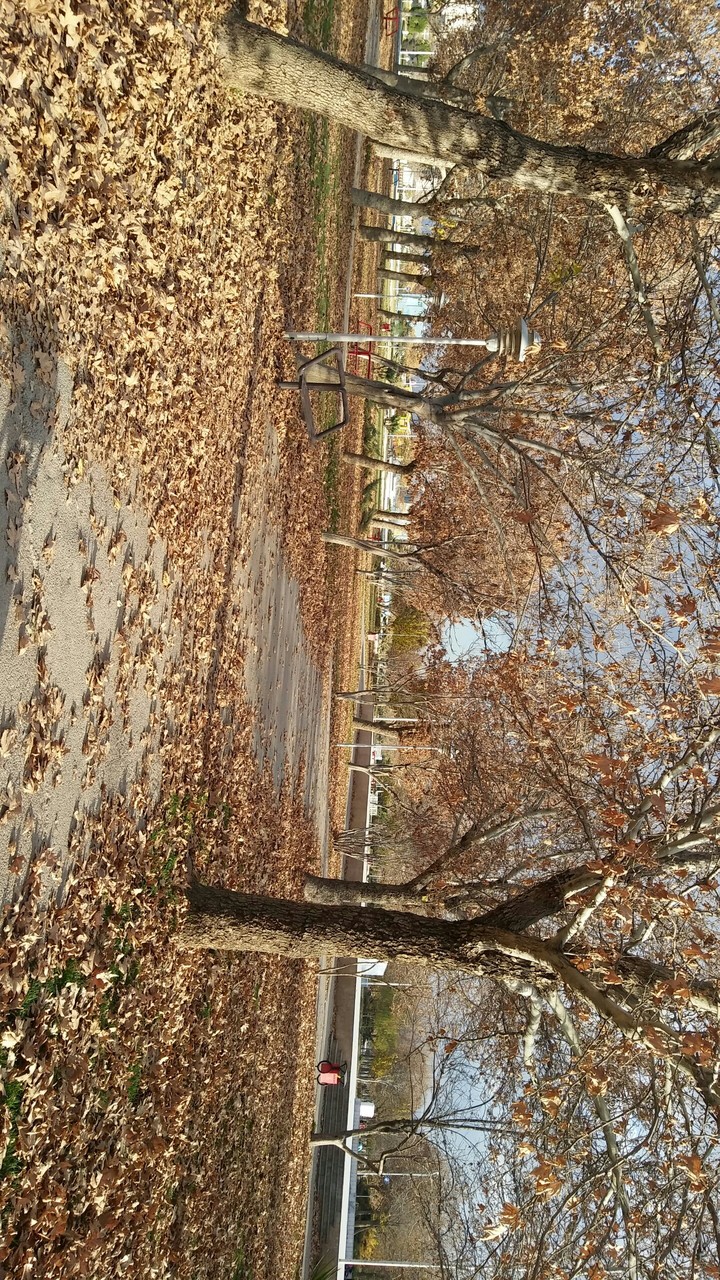 پاییزی زیبا