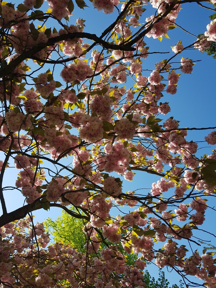 Spring in the air