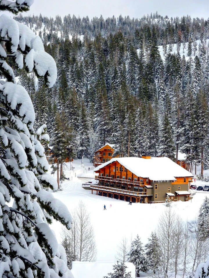 WINTRY LANDSCAPE