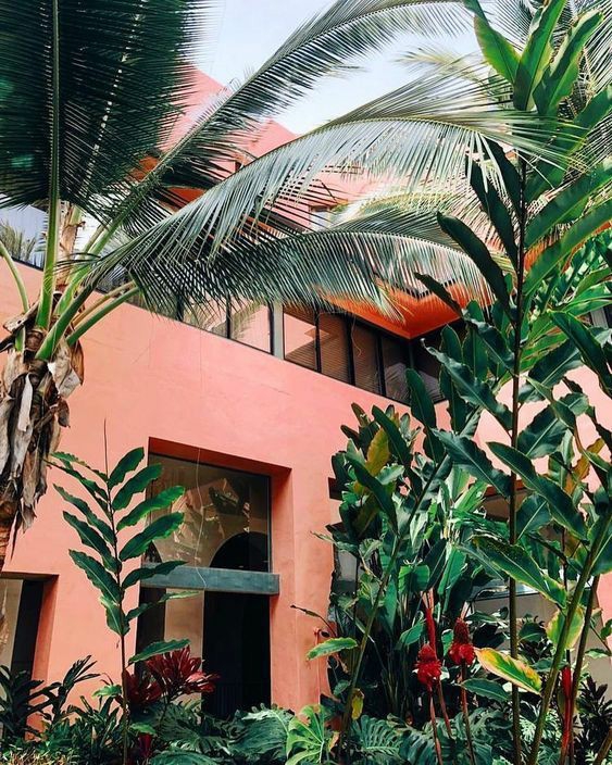 Tropical