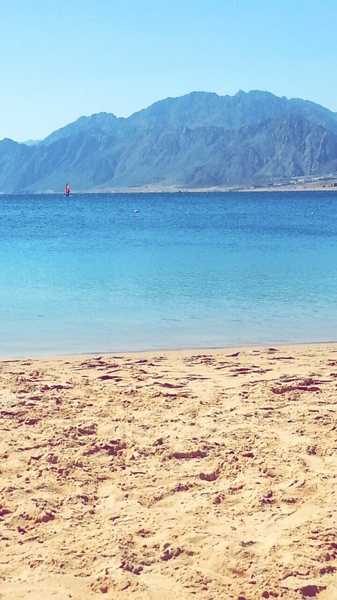 By the shore