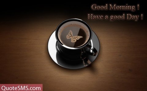 Good mornig