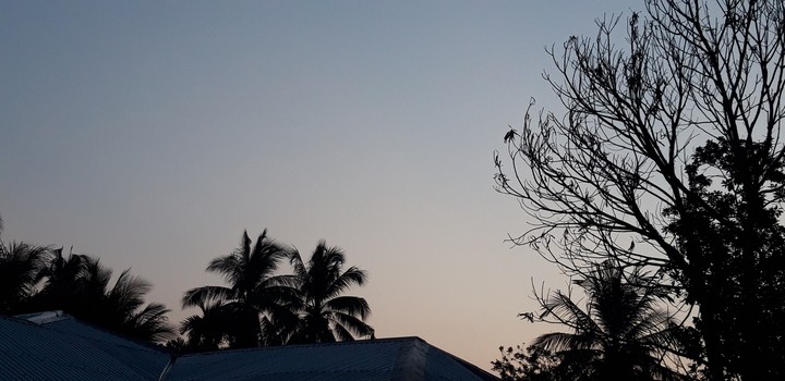 Senja