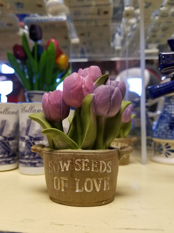 Sow seeds of love.