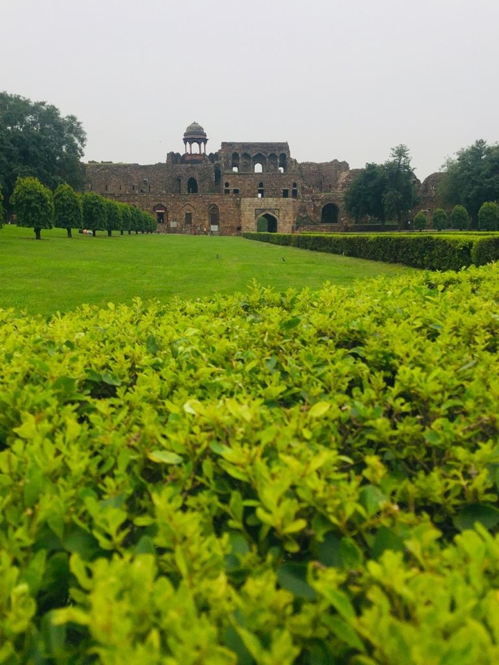 Another view