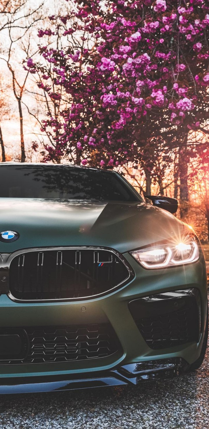 bmw m8