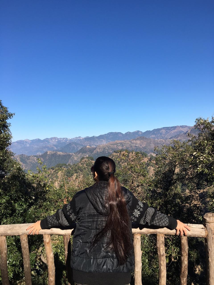 theView