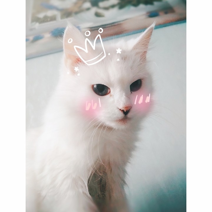 Cute ^_^