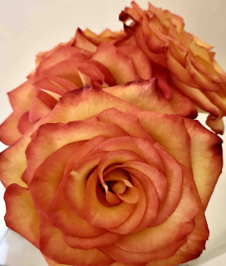 Anniversary Flowers