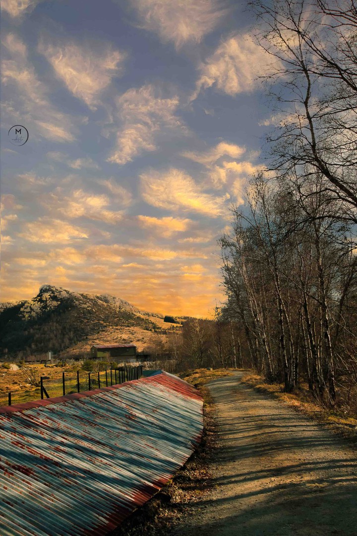 Spring Landscape
