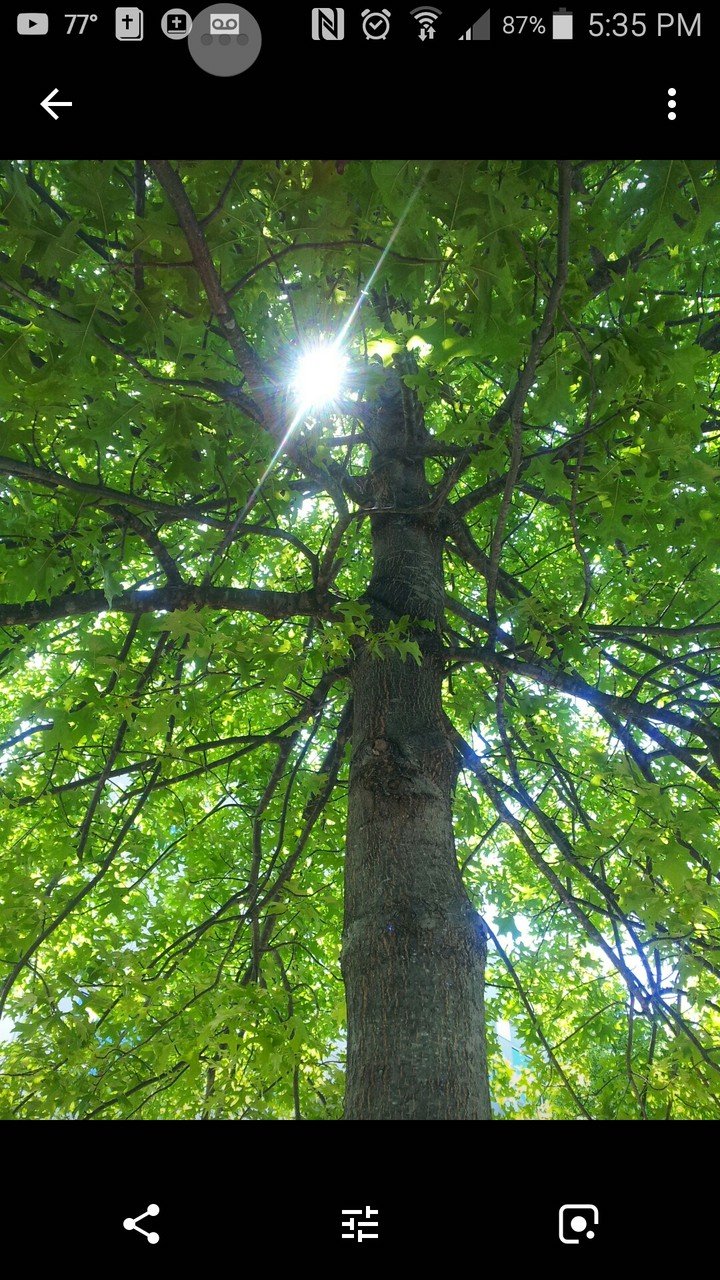 nature