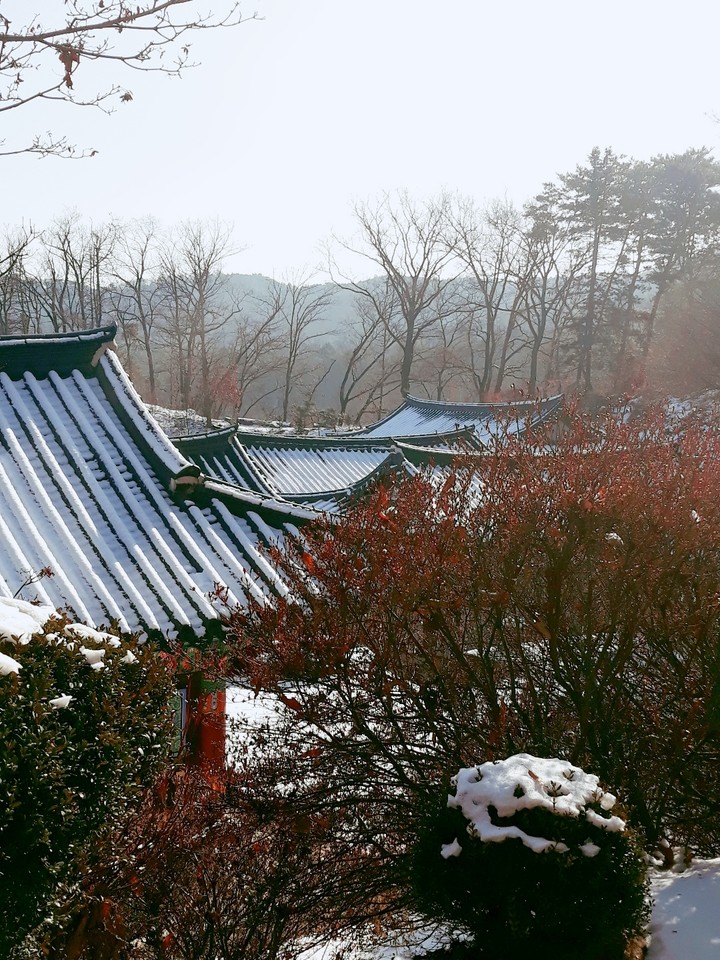 포천시 봉선사에서