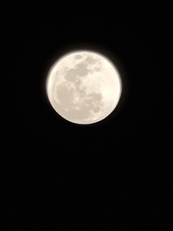 Moon