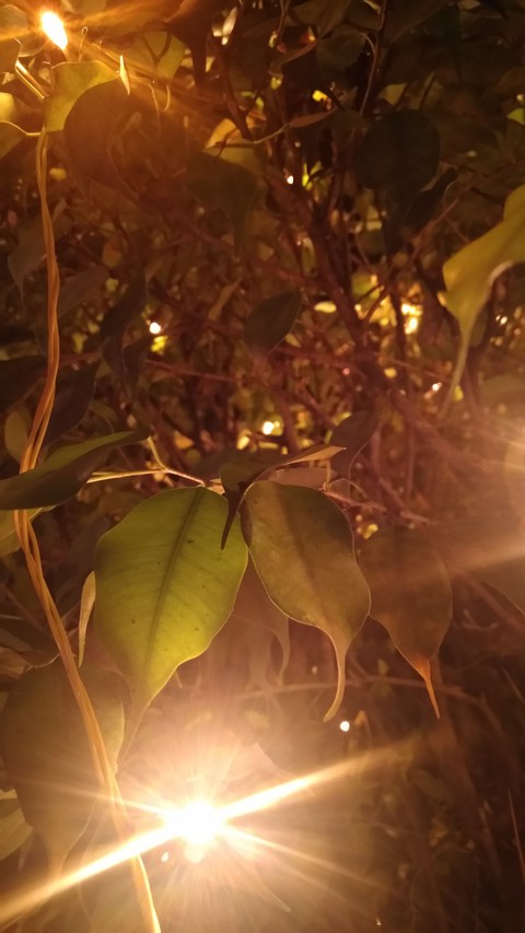 night lights