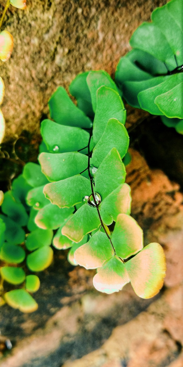 #Green