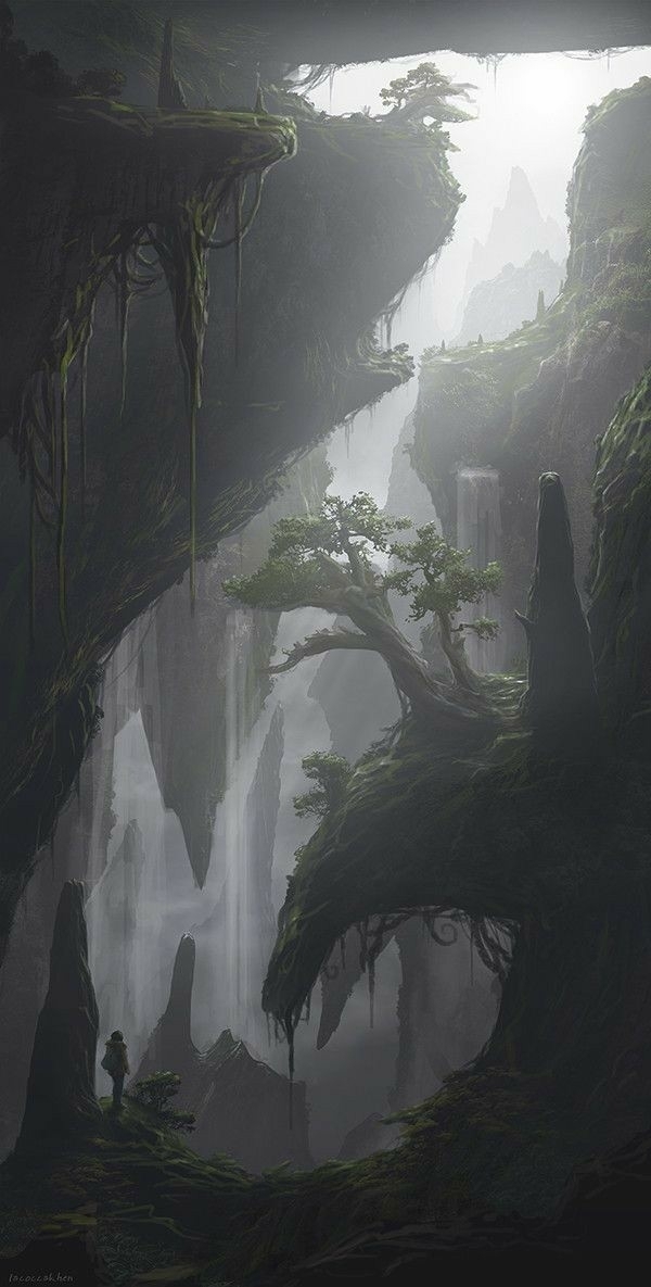 thicket