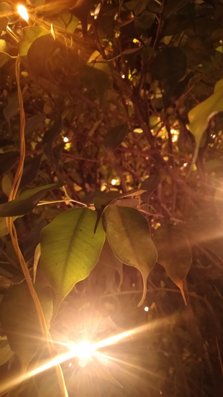 night lights