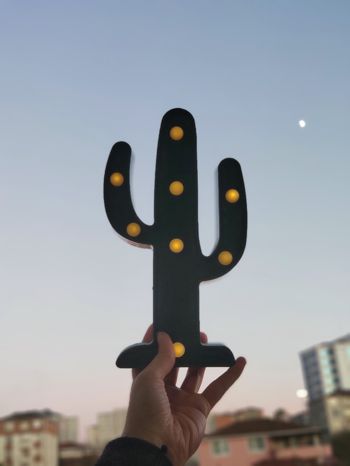cactus